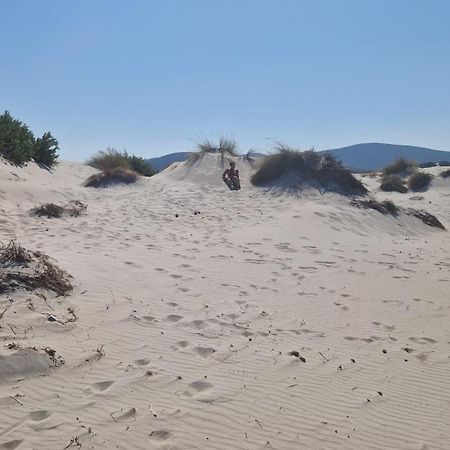 Casa Vacanza Mamaioa SantʼAnna Arresi Dış mekan fotoğraf